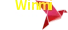 Payment Method